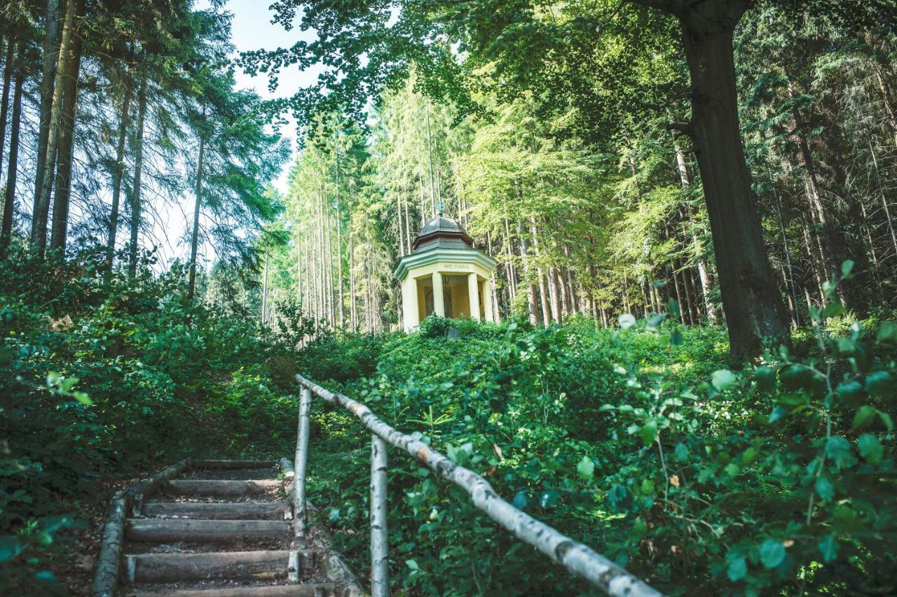 Retro Hotel Pod Zvicinou Bílá Třemešná Exterior foto